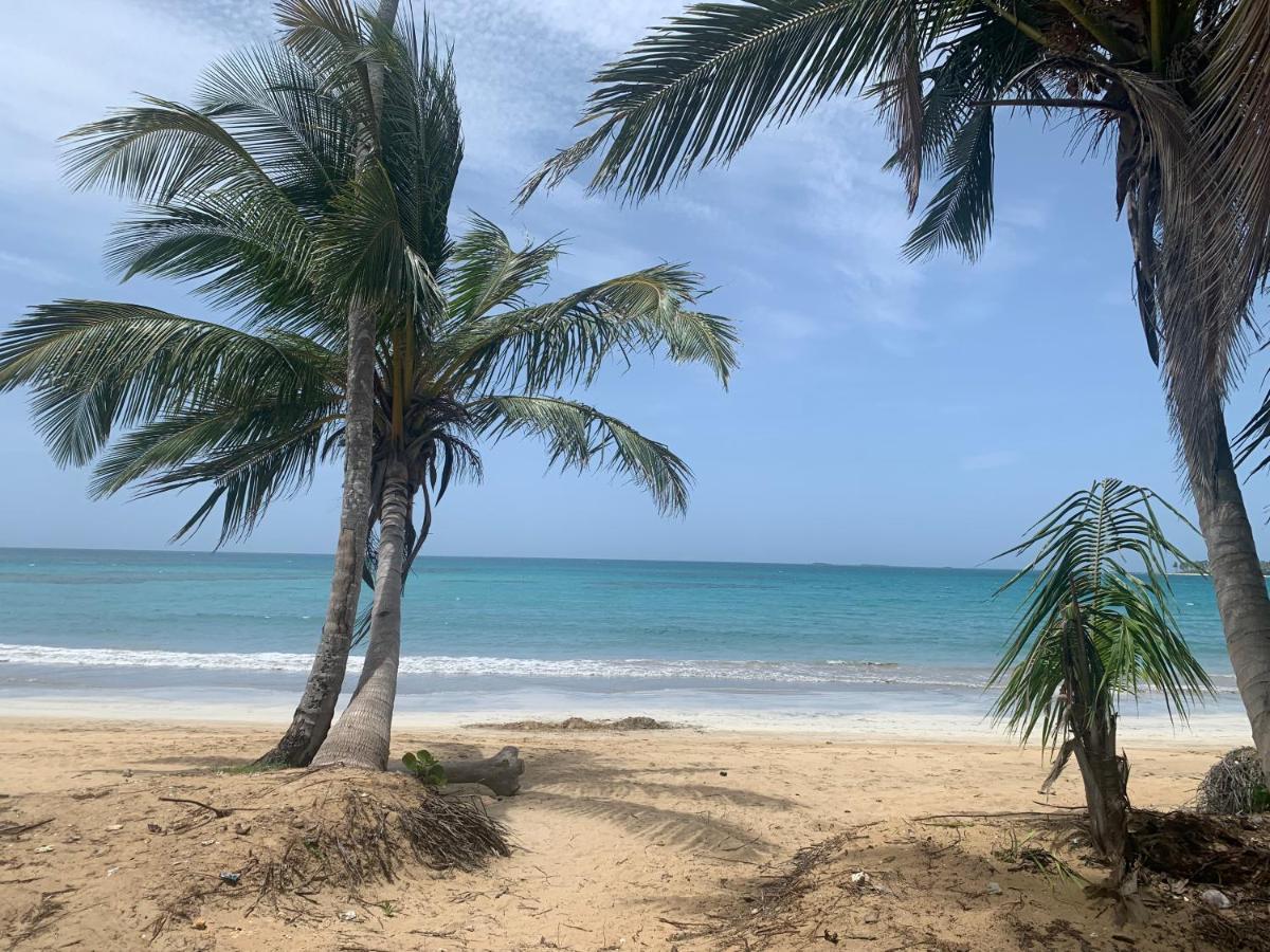 Caribbean Domicile Apartment ลาสแตร์เรนาส ภายนอก รูปภาพ
