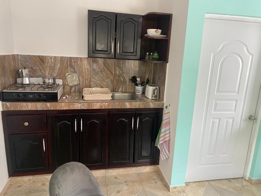 Caribbean Domicile Apartment ลาสแตร์เรนาส ภายนอก รูปภาพ