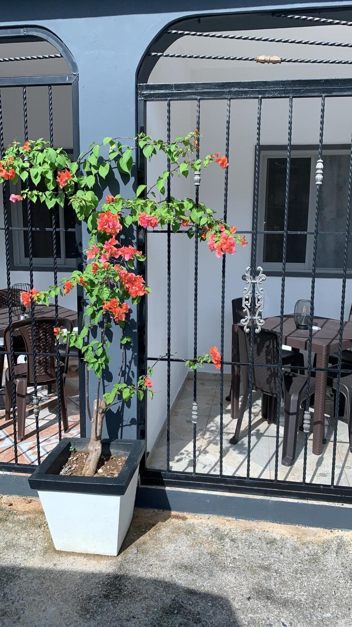 Caribbean Domicile Apartment ลาสแตร์เรนาส ภายนอก รูปภาพ